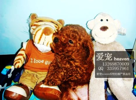 %  ���С�ܱ���====�ɰ�100��Ӵ-��Ӧ���ﹷ